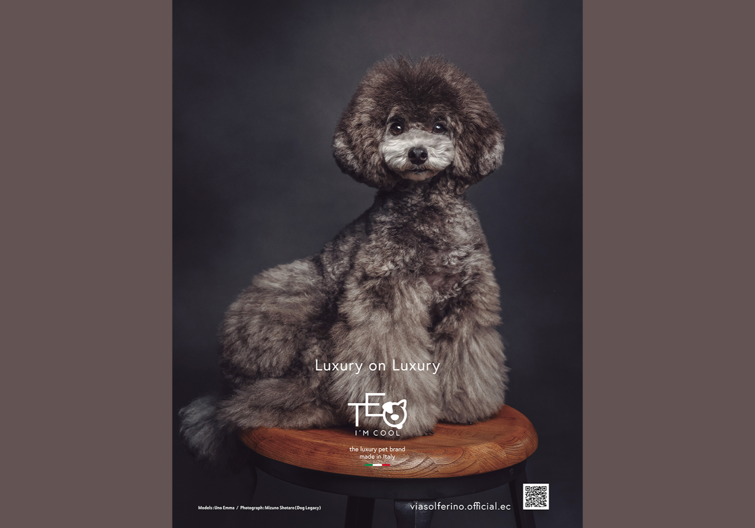 Luxury on Luxury TEO I'M COOL